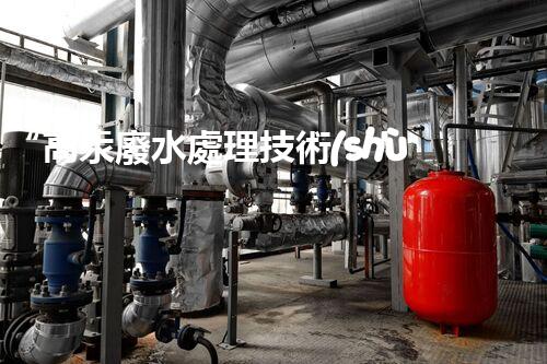 “高汞廢水處理技術(shù)，綠色環(huán)保新篇章”